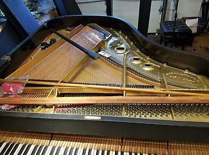 STEINWAY L 5' 10