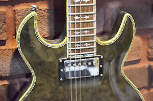 NOS Schecter Diamond Series S1 Elite 2005 Electric Guitar Gray Mist Inv# RG6