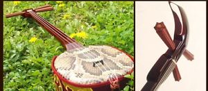 ASOVIVA Sunset color Three-line comfort artificial skin New Japan F/S EMS