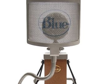 Blue Cactus Condenser Cable Professional Microphone