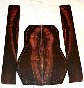 BRAZILIAN ROSEWOOD FIGURED  DREADNAUGHT ACOUSTIC GUITAR SET #804