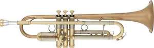 YAMAHA YTR-8335GH Bb  trumpet Free shipping Japan