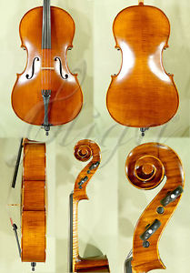 PROFESSIONAL ADVANCED LEVEL 3/4 'GAMA' ANTIQUED CELLO CODE: C4578