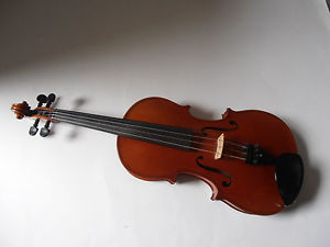 Geige (Schülergeige)