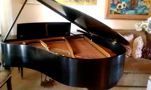 Steinway Grand Piano Ebony Model M - GREAT CONDITION!!
