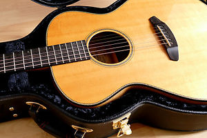 Acoustic Guitar - BREEDLOVE Oregon Concert - Electro LR Baggs - NEW