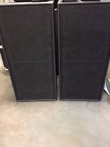 Yorkville TX9S Dual 18 inch Speakers