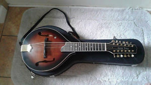 Mandolin , Gold Tone GM-12+ 12-String Acoustic-Electric  , hard case & strap