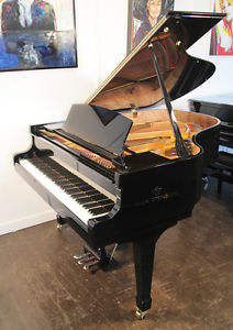 New, Steinberg WS-T166 grand piano with a black case and carbon fibre action