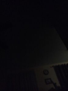 Fabish & Quinlin Cello Wolfgang Amberg 4/4