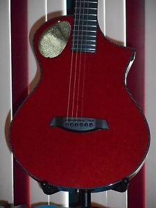 Acoustic / Electric Guitar