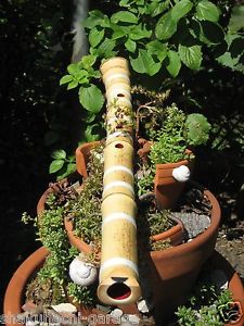 1.8 Kinko-ryu Madake Root End Shakuhachi Key of D