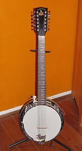 Gold Tone GT1200 12 string banjitar