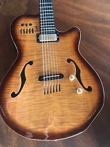Godin Multiac Jazz Guitar