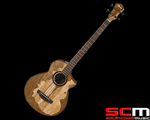 RRP$1199 Ibanez ArtWood AEWB50NT Limited Edition Acoustic Electric Bass Guitar