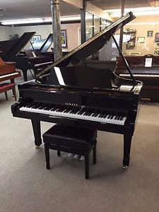 Yamaha5'7" Ebony Polish Grand Piano & Adjustable Bench Model G2 Fully Restored
