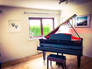 AMAZING GRAND PIANO WITH FITTED LIGHTS