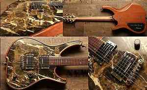 Zerberus-Guitars Gorgonized Nemesis 2016 Black Hardshell Case Included