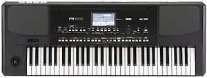 KORG Japan Pa300 Professional Arrangers 61 Key Keyboard Synthesizer Musical Tool