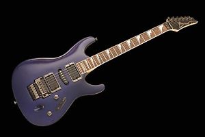 Ibanez Custom