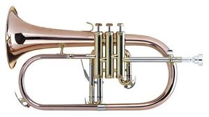 35105 LECHGOLD FH-60G FISCORNO