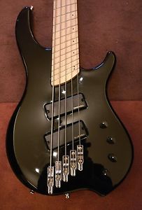 dingwall fanned fret five string bass