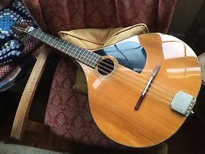Fylde bouzouki with Headway pickup