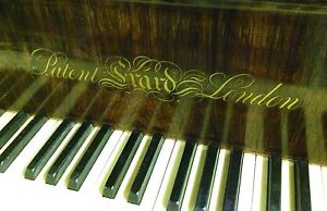 Erard ca. 1870  Konzert Flügel Stutzflügel Piano Steinway Bank