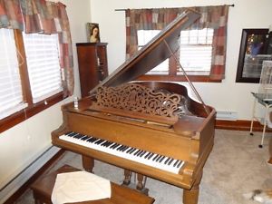 Classic Steinway Grand Piano, 6ft 2in serial #48440,  Year 1881.