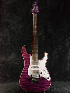 Schecter SD-II-24-BW Used  w/ Gigbag