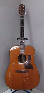TAYLOR 510 LEMON GROVE Used 1979 w/ Hard case
