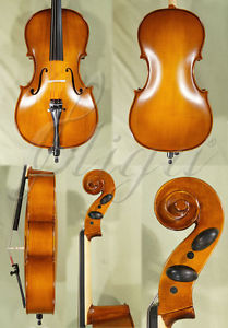 EUROPEAN 1/4 SCHOOL 'GENIAL 1-OIL' CELLO CODE: C2227