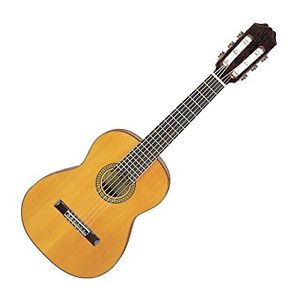 ARIA PEPE Aria Pepe mini classical guitar with a soft case PS-48 P/O