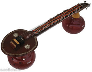 VEENA~RADEL DIGITAL ELECTRONIC~SUNADAVINODINI~VINA~MIZRAB~CARRY BAG~STRING EHS