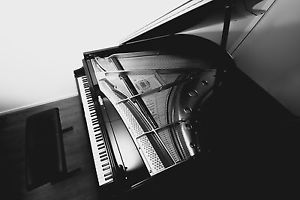 Kaps Flügel 190 cm generalüberholt, ähnlich einem restaurierten Bechstein-Flügel