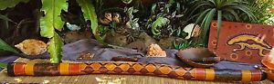 Didgeridoo Authentic Traditional Aboriginal from Uluru