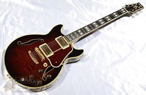 Ibanez AM200 1998 W or Hard Case