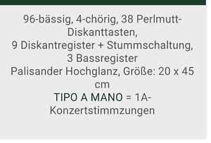 Akkordeon helikon 96 Bass Neuwertig
