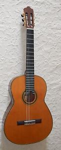 Cervantes Millenia PE Classical Guitar / Latticed Braced / Elevated Fretboard