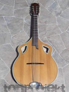 gorgeous unusual PJA WAPPEN MANDOLA big rare 8string mandolin Germany for museum