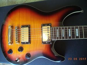 Vintage Peavey HP Signature Series. The guitar has a hard case.