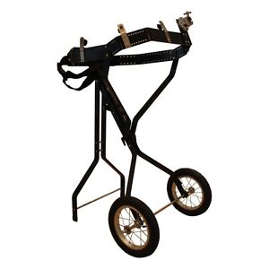 Schlagzeugwagen für Guggenmusiker Musikverein Guggenwagen Chuchi Küche Wägli !!!