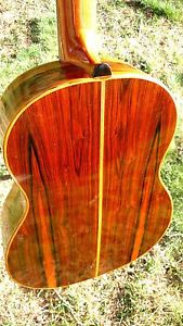 2001 Di Giorgio Autor N 3 Made in Brazil with hard shell case