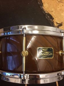Canopus Zelkova Snare  6.5 x 14 Mint Condition w/Soft Case