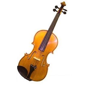 Molinari Romanian High Quality Student Viola Outfit  (13-Inch, Oil Finish)
