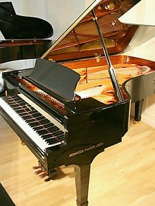 Brand new never used Wendl & Lung Grand piano for sale