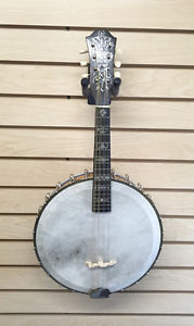1913 Orpheum No. 2 Banjo-Mandolin Banjolin w/Original Case