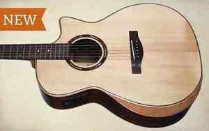 Teton Acoustic/Electric Guitar with Cutaway, Fishman, Armrest, Solid Spruce!