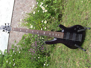 Yamaha TRB1005 5 String Electric Bass Guitar