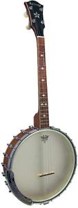 Ashbury AB-55 Dos ouvert TENOR BANJO 17 Frettes Courte échelle,NOYER Irlandais/